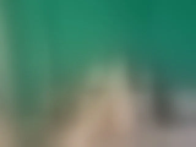 Live sex webcam photo for NormanMash #293856933