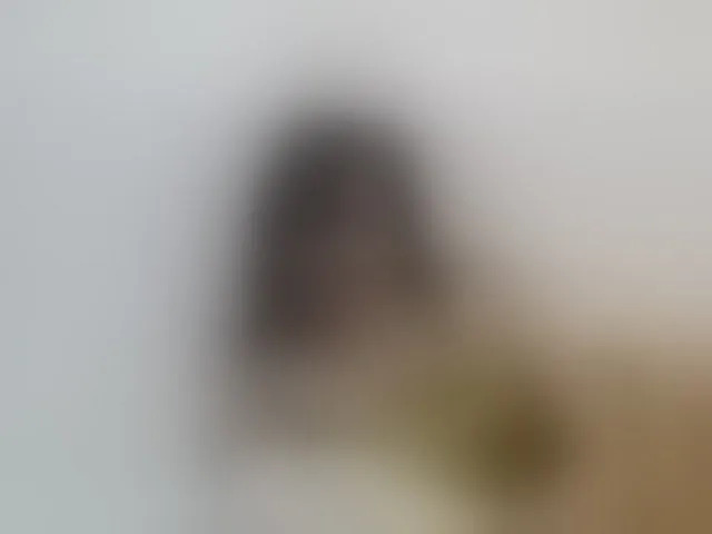 Live sex webcam photo for Nourbese #292814673