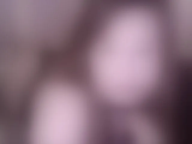 Live sex webcam photo for NovaTemptress1 #290611748