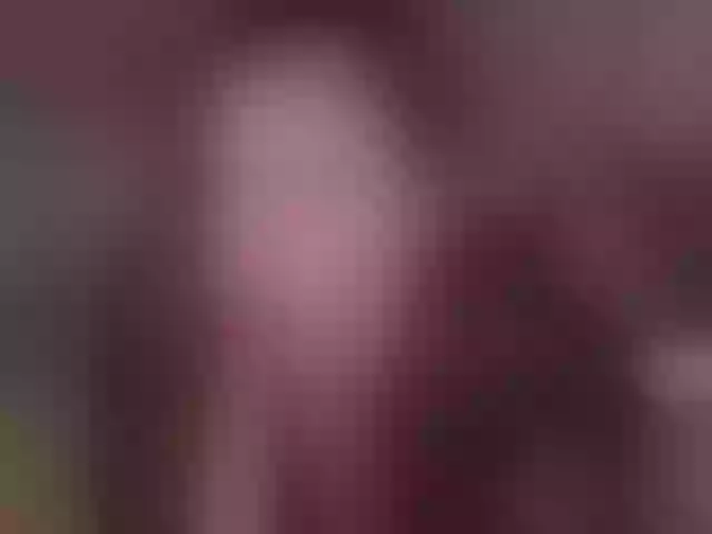 Live sex webcam photo for NovaTemptress1 #291316435