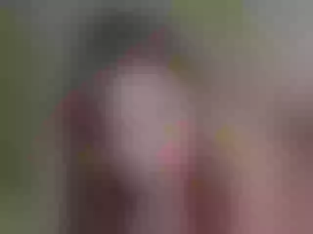 Live sex webcam photo for NovaTemptress1 #292159560