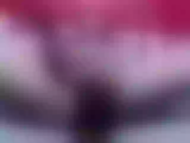 Live sex webcam photo for Ntombie #292034216