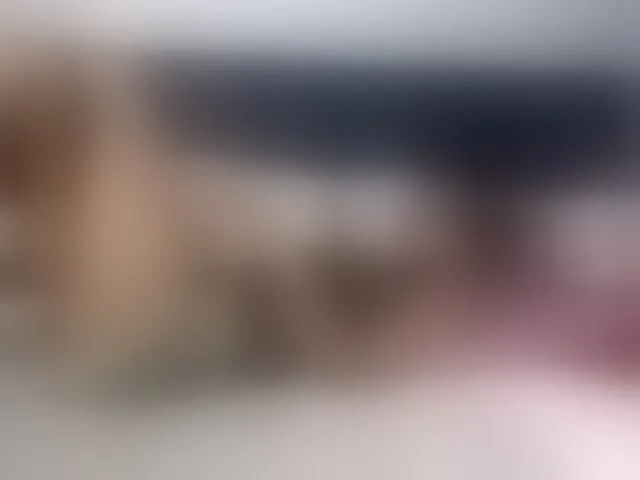 Live sex webcam photo for Ntombie #293392476