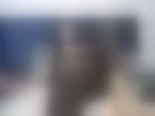Live sex webcam photo for Ntombie #293566265