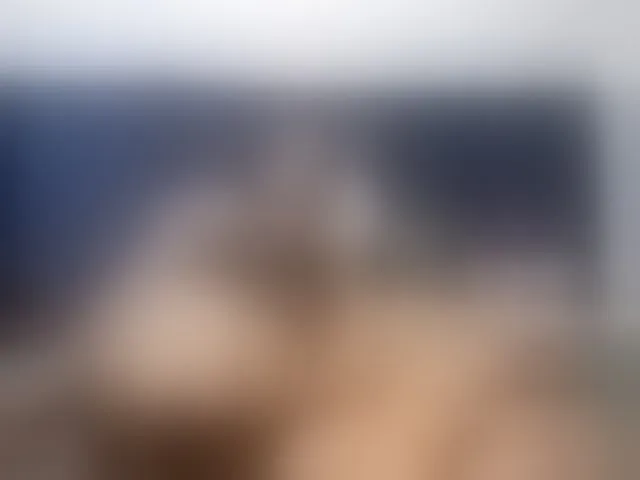 Live sex webcam photo for Ntombie #293610927