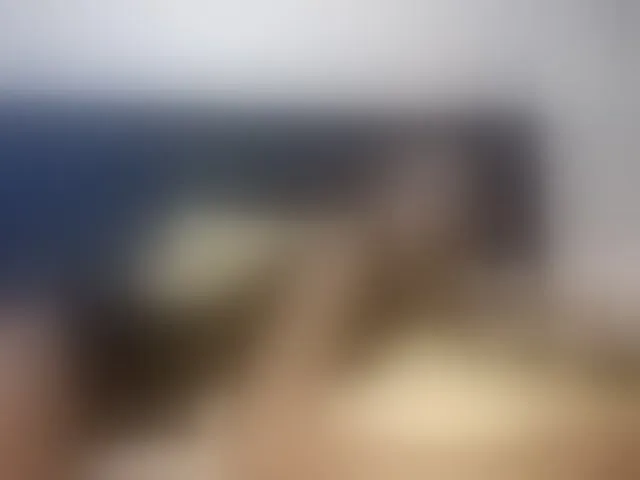 Live sex webcam photo for Ntombie #293688871