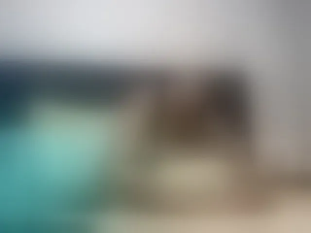 Live sex webcam photo for Ntombie #293731326