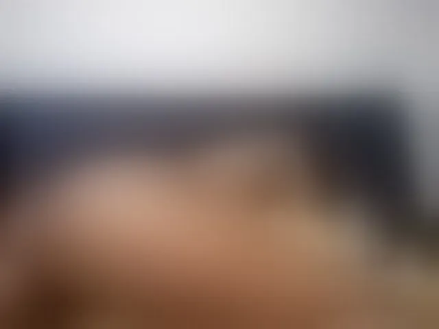 Live sex webcam photo for Ntombie #294046043