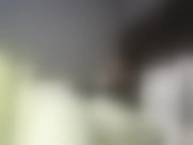 Live sex webcam photo for Ntombie #294098239