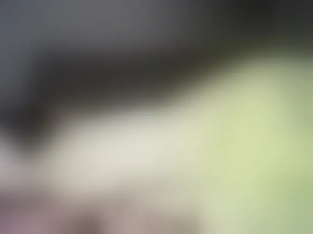 Live sex webcam photo for Ntombie #294302179