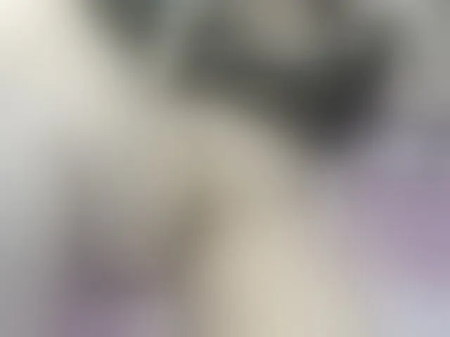 Live sex webcam photo for Nudees #292651402