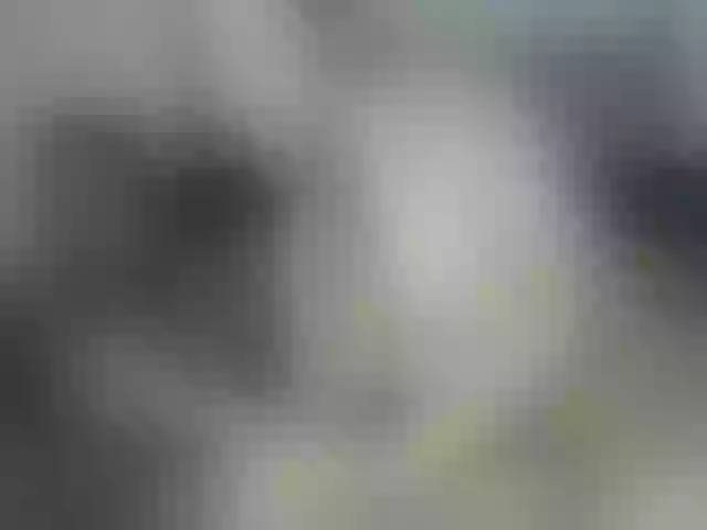 Live sex webcam photo for NuruSweet #291492019