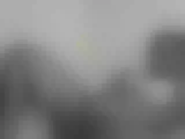 Live sex webcam photo for NuruSweet #291779581