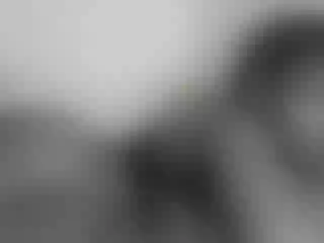 Live sex webcam photo for NuruSweet #292032239
