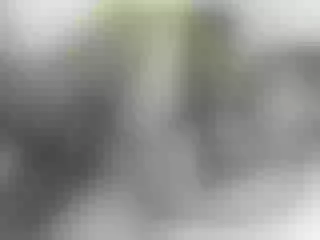 Live sex webcam photo for NuruSweet #292272804