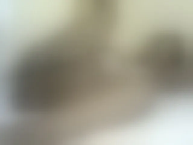 Live sex webcam photo for NuruSweet #292366236