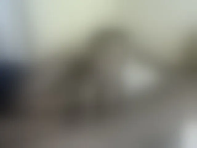 Live sex webcam photo for NuruSweet #292477431