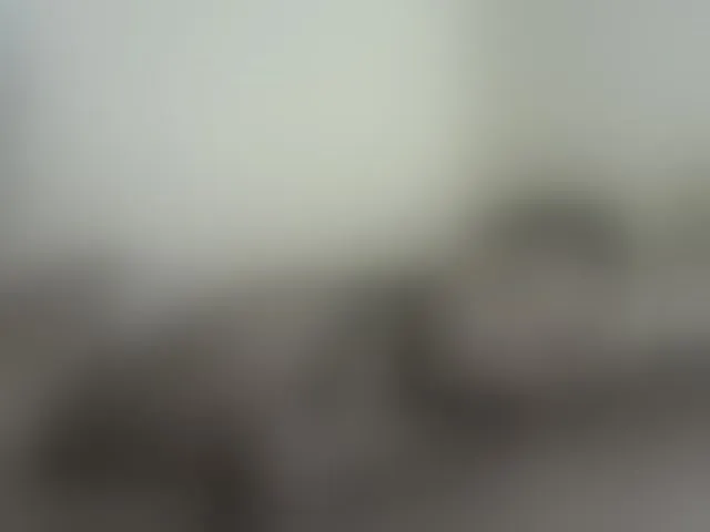 Live sex webcam photo for NuruSweet #292508228