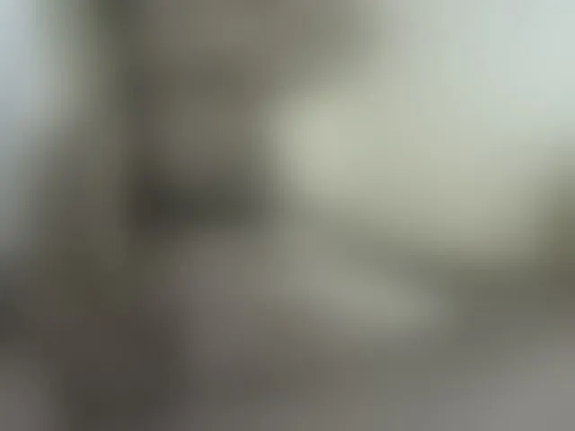 Live sex webcam photo for NuruSweet #292515099