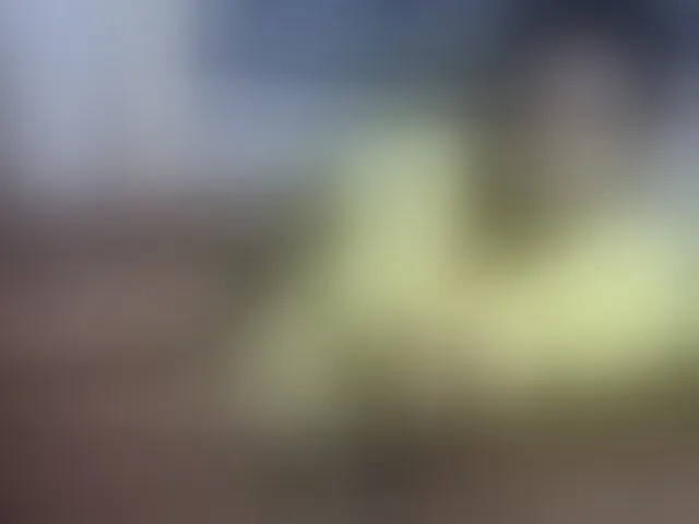 Live sex webcam photo for NuruSweet #293221076