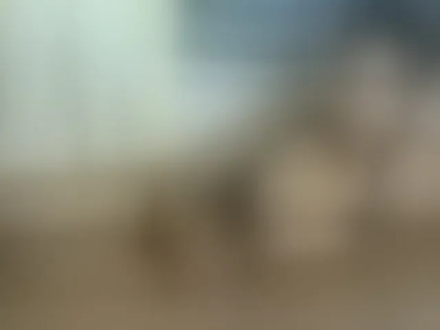 Live sex webcam photo for NuruSweet #293295723