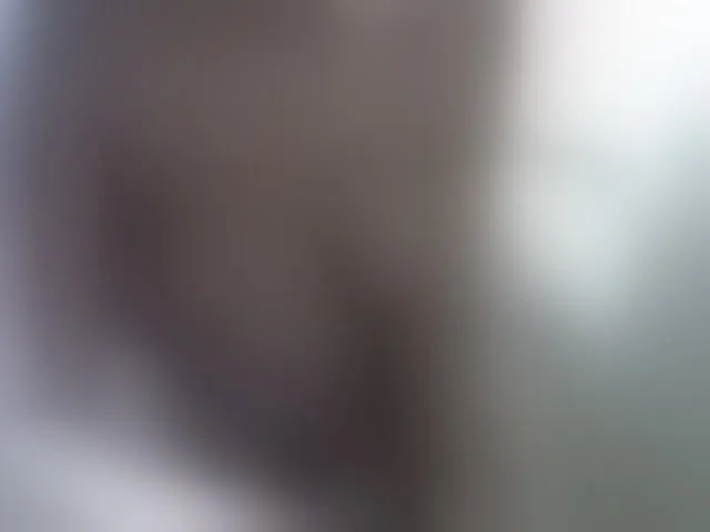Live sex webcam photo for Nyangisexy1 #294234705