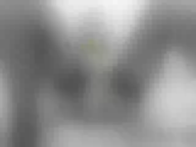 Live sex webcam photo for Nymphaea #271733370