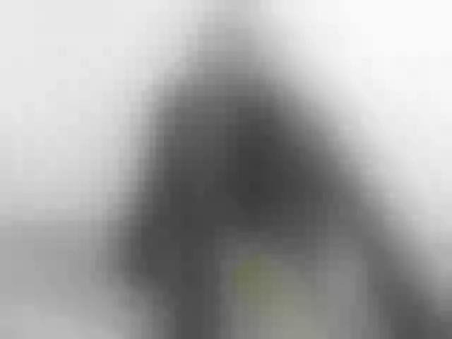 Live sex webcam photo for Nymphaea #271773985