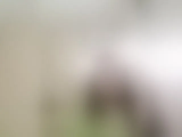 Live sex webcam photo for Ogonek37 #294211505