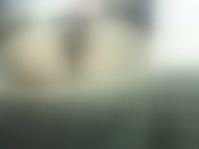Live sex webcam photo for OlgaSaphire #293815033