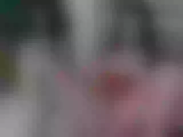 Live sex webcam photo for OnlyAriel #291799398