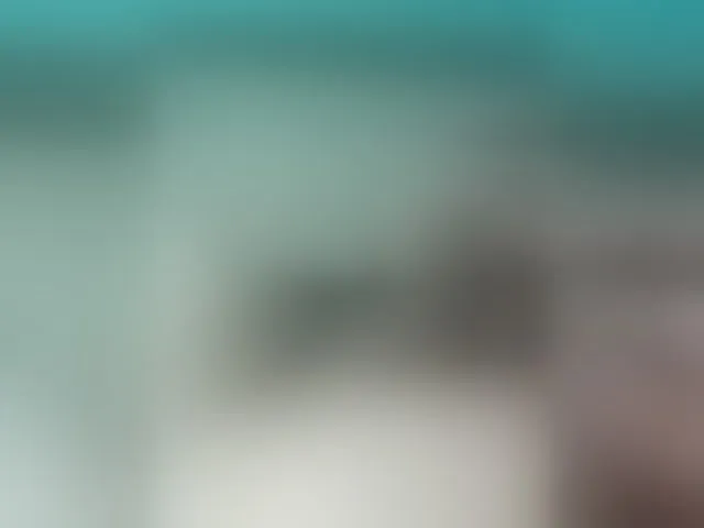 Live sex webcam photo for Onton #278286137