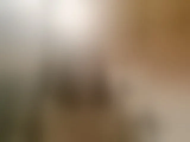 Live sex webcam photo for OpenGirl #293802726
