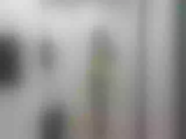 Live sex webcam photo for Opskira #291862174