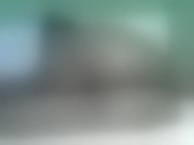 Live sex webcam photo for Orabanks #277486226