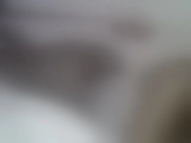 Live sex webcam photo for Orabanks #278065579