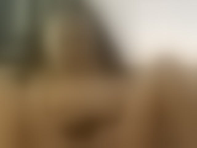 Live sex webcam photo for OrianaWade #293991122