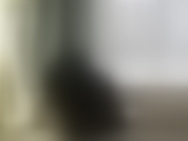 Live sex webcam photo for OrianaWade #294022274