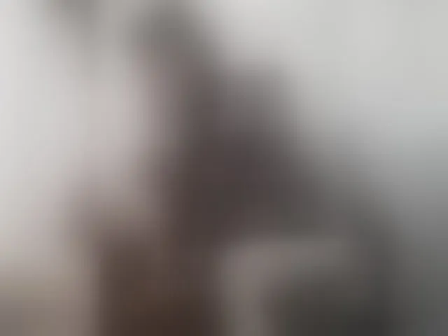 Live sex webcam photo for P-A-N-I-K-A #293610257