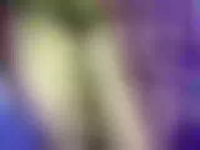 Live sex webcam photo for PINK-PARIE #290416706