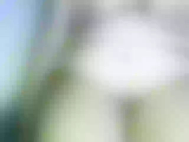 Live sex webcam photo for PINK-PARIE #290897884