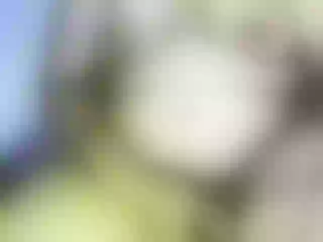 Live sex webcam photo for PINK-PARIE #290910226