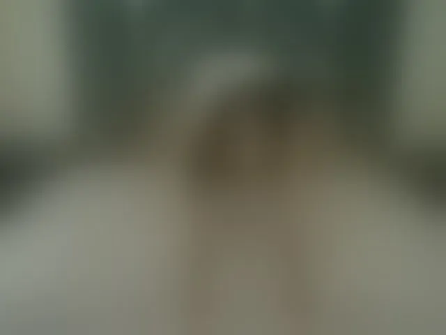 Live sex webcam photo for PaigePrado #293831259
