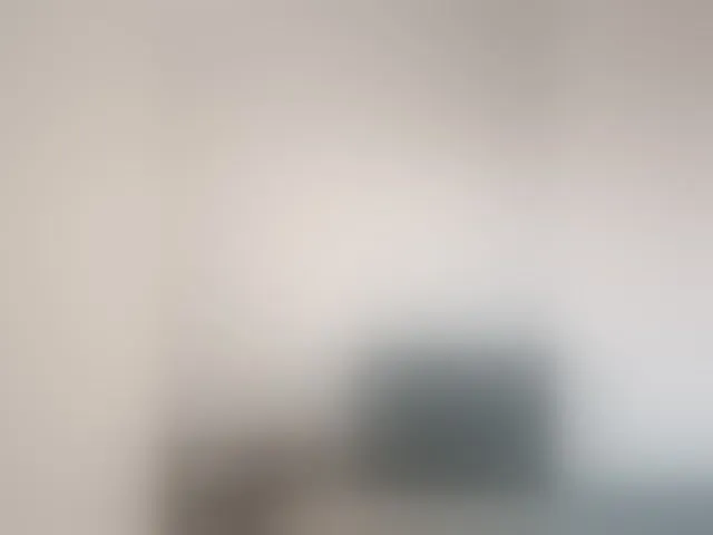 Live sex webcam photo for Palmyra #293337505