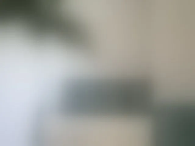 Live sex webcam photo for Palmyra #293799993