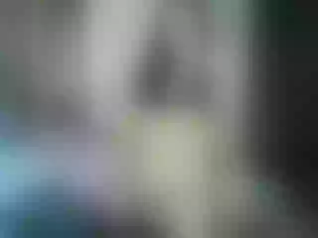 Live sex webcam photo for Pamela-anderson #278178119