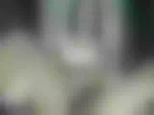 Live sex webcam photo for Pamela-anderson #282420904