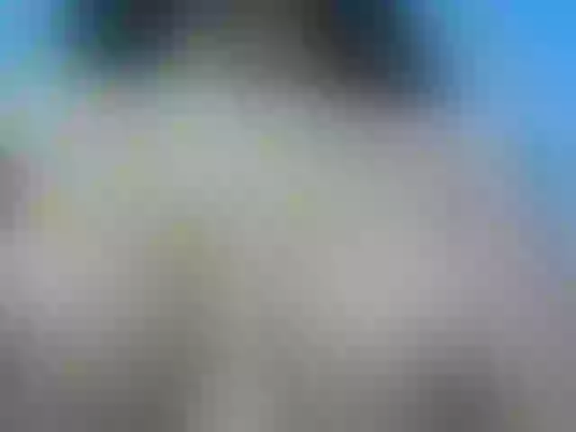 Live sex webcam photo for Pamela-fit #287984288