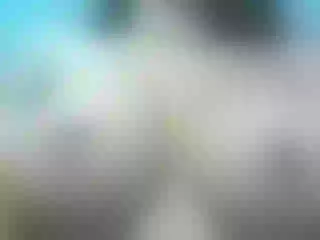 Live sex webcam photo for Pamela-fit #287984289