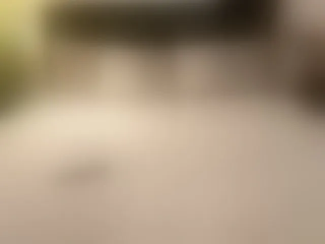Live sex webcam photo for PamelaXXs #293445629